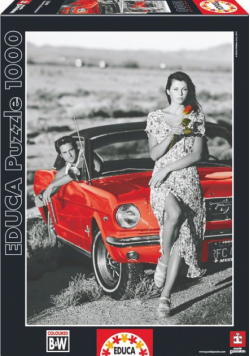 Country Romance Black&White Puzzle 1000
