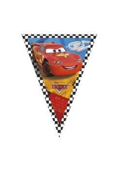 Banner Cars RSN flagi KK