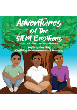 Adventures of the Stem Brothers