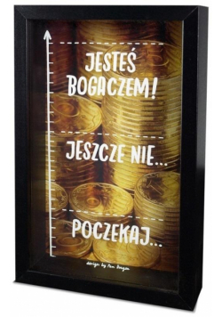Skarbonka Home 3 - Bogacz