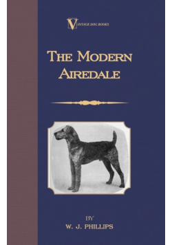 The Modern Airedale Terrier
