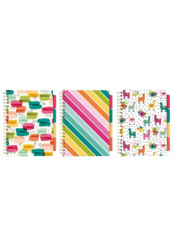 Project Book Colour Wash B5/100K linia mix (3szt)