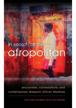 In Search of the Afropolitan
