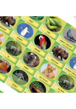 Memory Game Animals