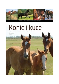 Konie i kuce