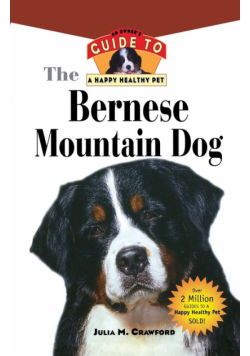 Bernese Mountain Dog