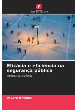 Eficácia e eficiência na segurança pública