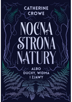 Nocna strona natury albo duchy widma i zjawy