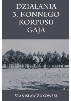 Działania 3. Konnego Korpusu Gaja