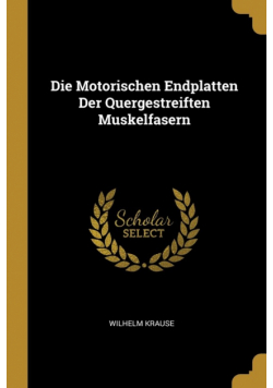 Die Motorischen Endplatten Der Quergestreiften Muskelfasern