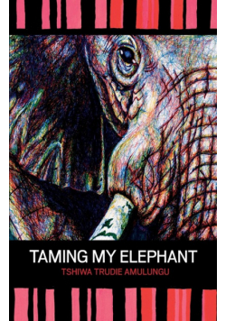 Taming My Elephant