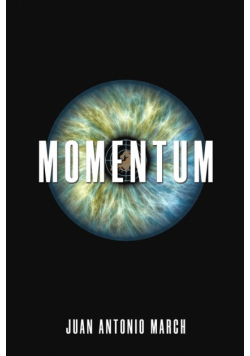 Momentum