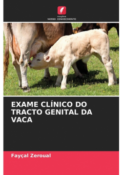 Exame Clínico Do Tracto Genital Da Vaca