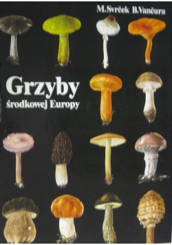 Grzyby Środkowej Europy