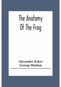 The Anatomy Of The Frog