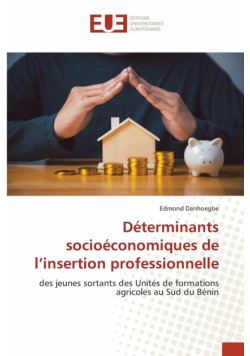 Déterminants socioéconomiques de l'insertion professionnelle