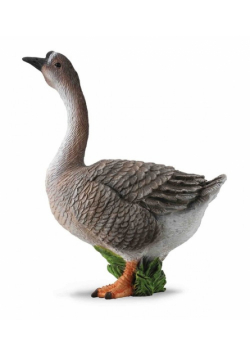 Gęś M