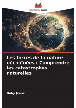 Les forces de la nature déchaînées