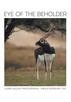 Eye of the Beholder