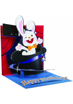Kartki 3D Magic Hat