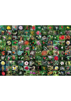 Puzzle Blossoms 1000