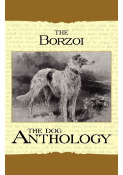 Borzoi
