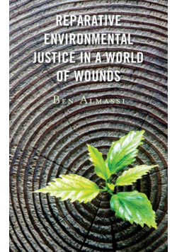 Reparative Environmental Justice in a World of Wounds