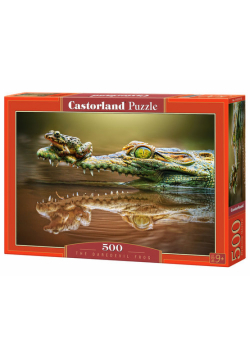 Puzzle The Daredevil Frog 500