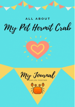 All About My Pet Hermit Crab