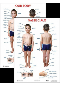 Plansza Nasze ciało Our body