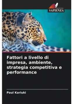 Fattori a livello di impresa, ambiente, strategia competitiva e performance