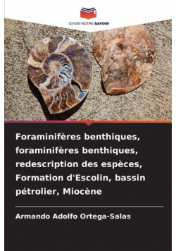 Foraminifères benthiques, foraminifères benthiques, redescription des espèces, Formation d'Escolin, bassin pétrolier, Miocène