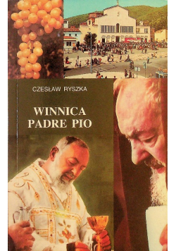Winnica Padre Pio