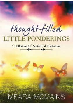 Thought-Filled Little Ponderings