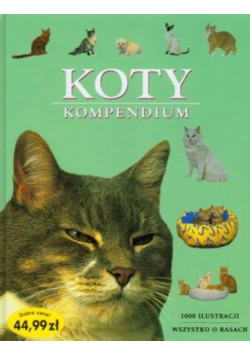 Koty Kompendium