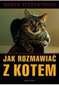 Jak rozmawiać z kotem
