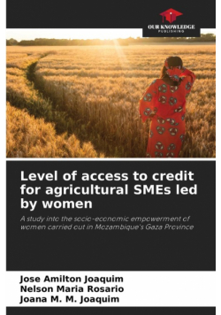 Level of access to credit for agricultural SMEs led by women