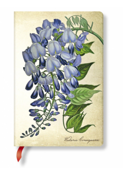 Notatnik Blooming Wisteria mini linia