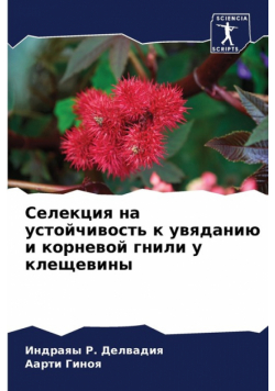 Селекция на устойчивость к увяданию и корневой гнили у клещевины