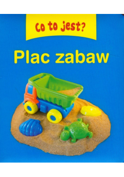 Co to jest? Plac zabaw