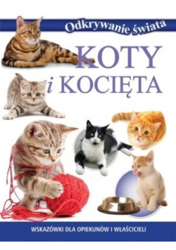 Koty i kocięta
