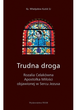 Trudna droga