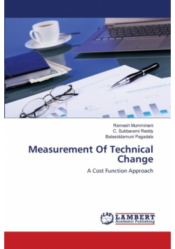 Measurement Of Technical Change