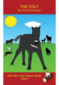 The Colt Chapter Book