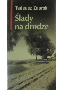 Ślady na drodze
