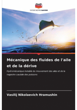 Mécanique des fluides de l'aile et de la dérive