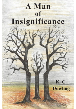 A Man of Insignificance
