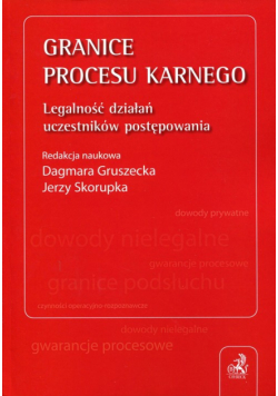 Granice procesu karnego