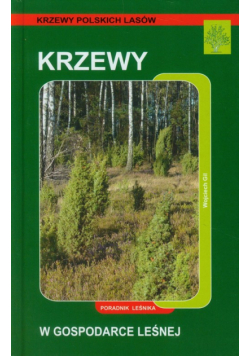 Krzewy w gospodarce leśnej