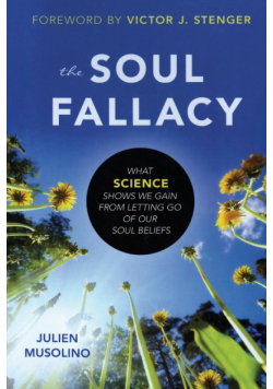 The Soul Fallacy